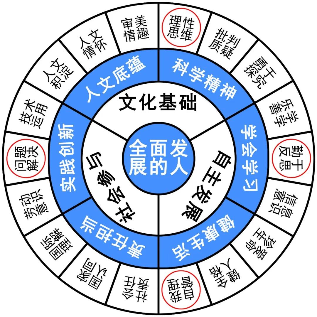 立足现实追求理想作文素材,作文立身之本
