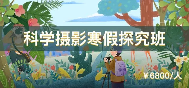 一群博士硕士，动不动“鬼混”到半夜，却干成了件人人称赞的事