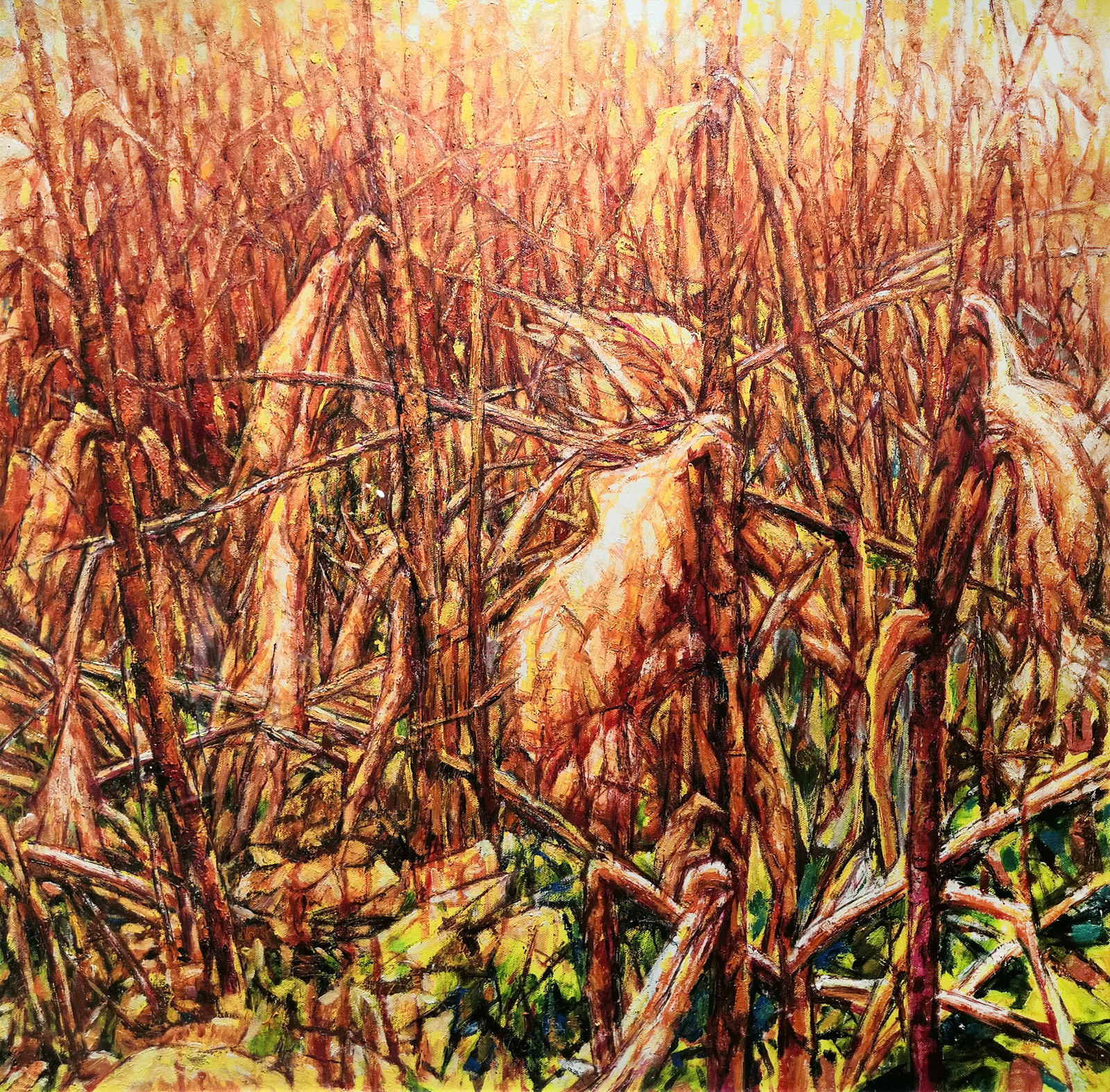 礼赞建党百年讴歌时代精神绘画,不忘初心逐梦前行建党100周年绘画