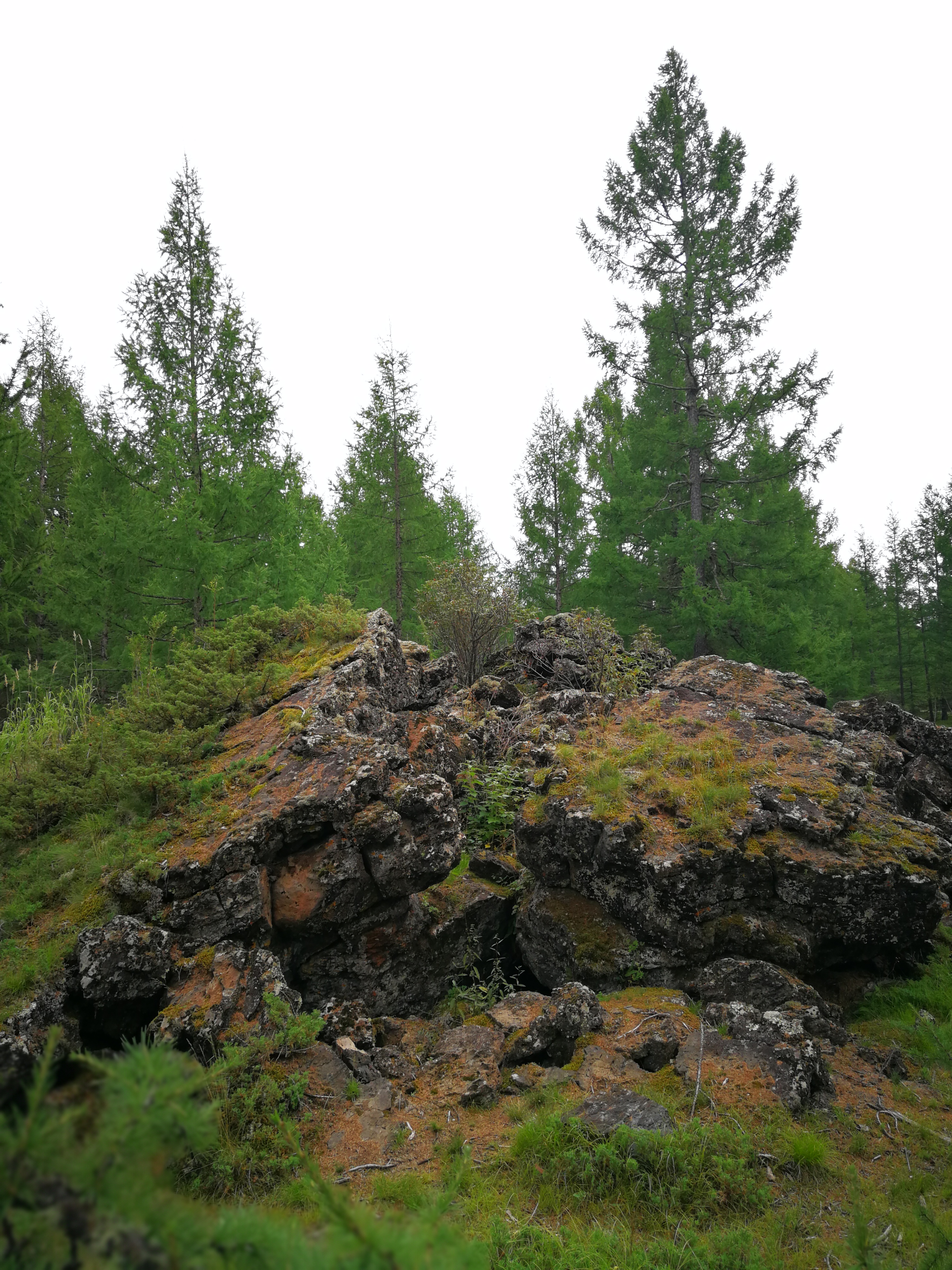 北京游阿尔山路线攻略,北京阿尔山旅游自由行攻略