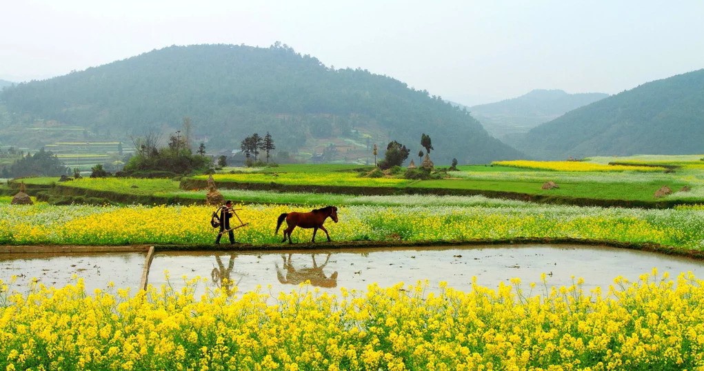 令人向往的生活状态,大部分人向往的生活是什么样的