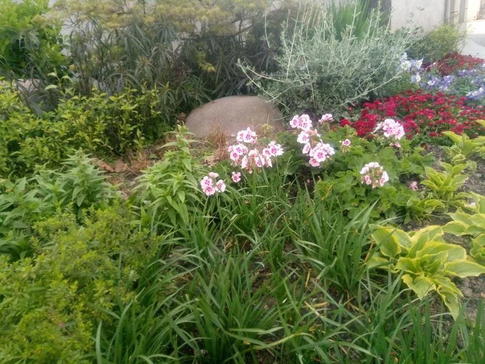 与癌结缘，知道我一个人是怎么扛过来的吗？八天禁止滴水入口啊