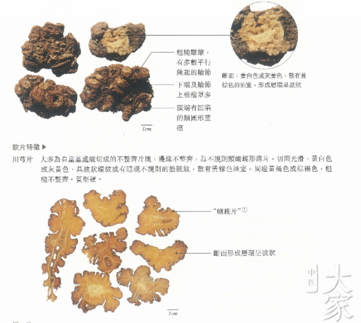 中药学川芎为什么能治头痛,中药川芎治疗头痛效果好