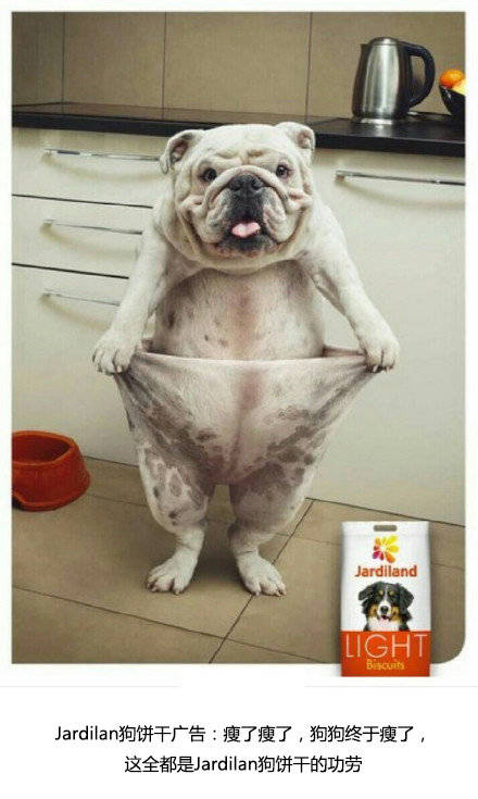 利郎男装创意广告平面,中国元素平面广告创意