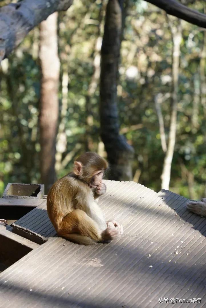 被刘昊然种草的云南小城，全网0攻略，我们花不到2k就逛吃6天