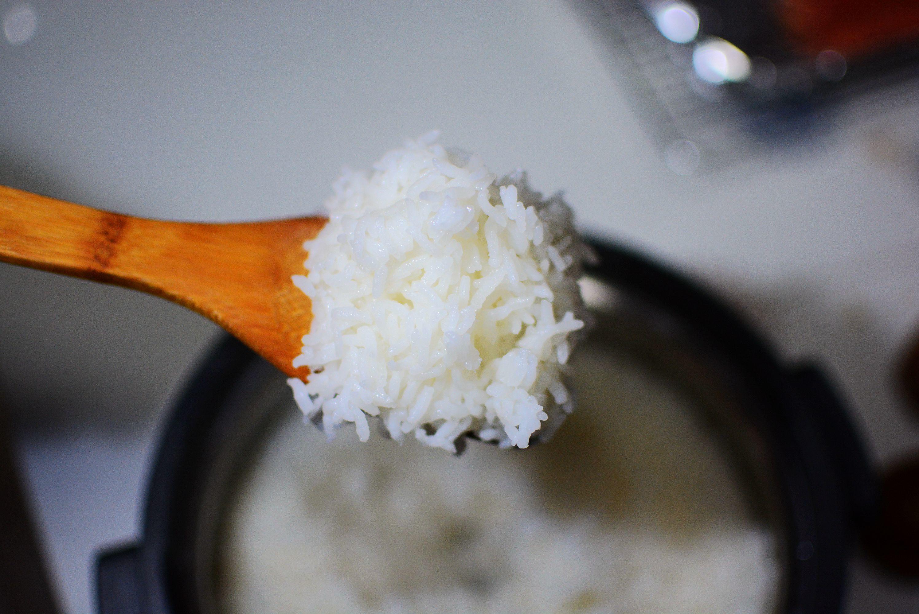 九阳无涂层蒸汽饭煲菜谱,九阳蒸汽饭煲如何炖汤