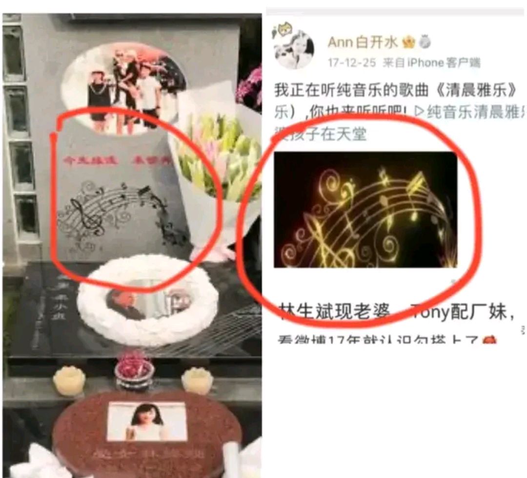林生斌说小女儿没打疫苗,林生斌事件孩子喊妈视频