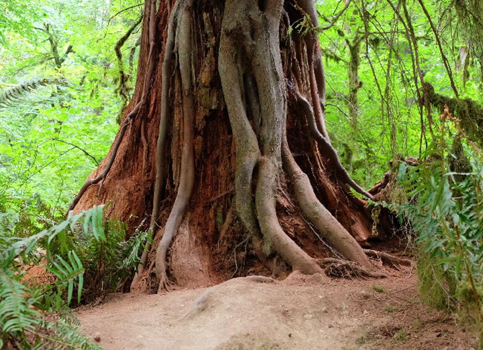 美国物流2010年之后的发展,美国专线物流分析报告