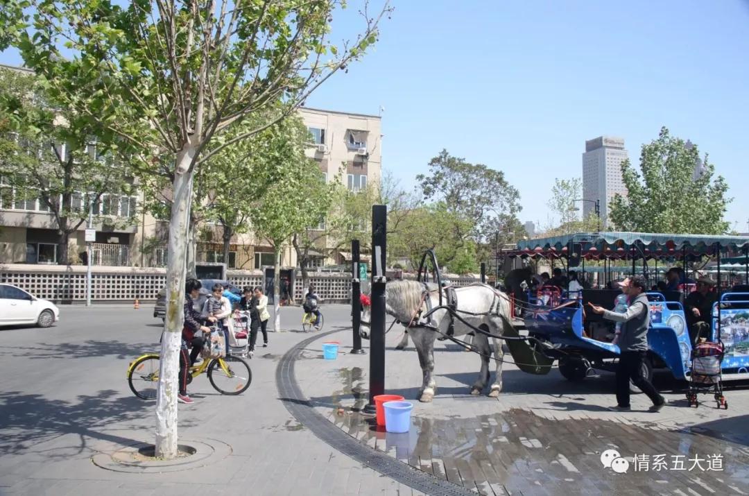 五大道：孕育天津现代医学的摇篮