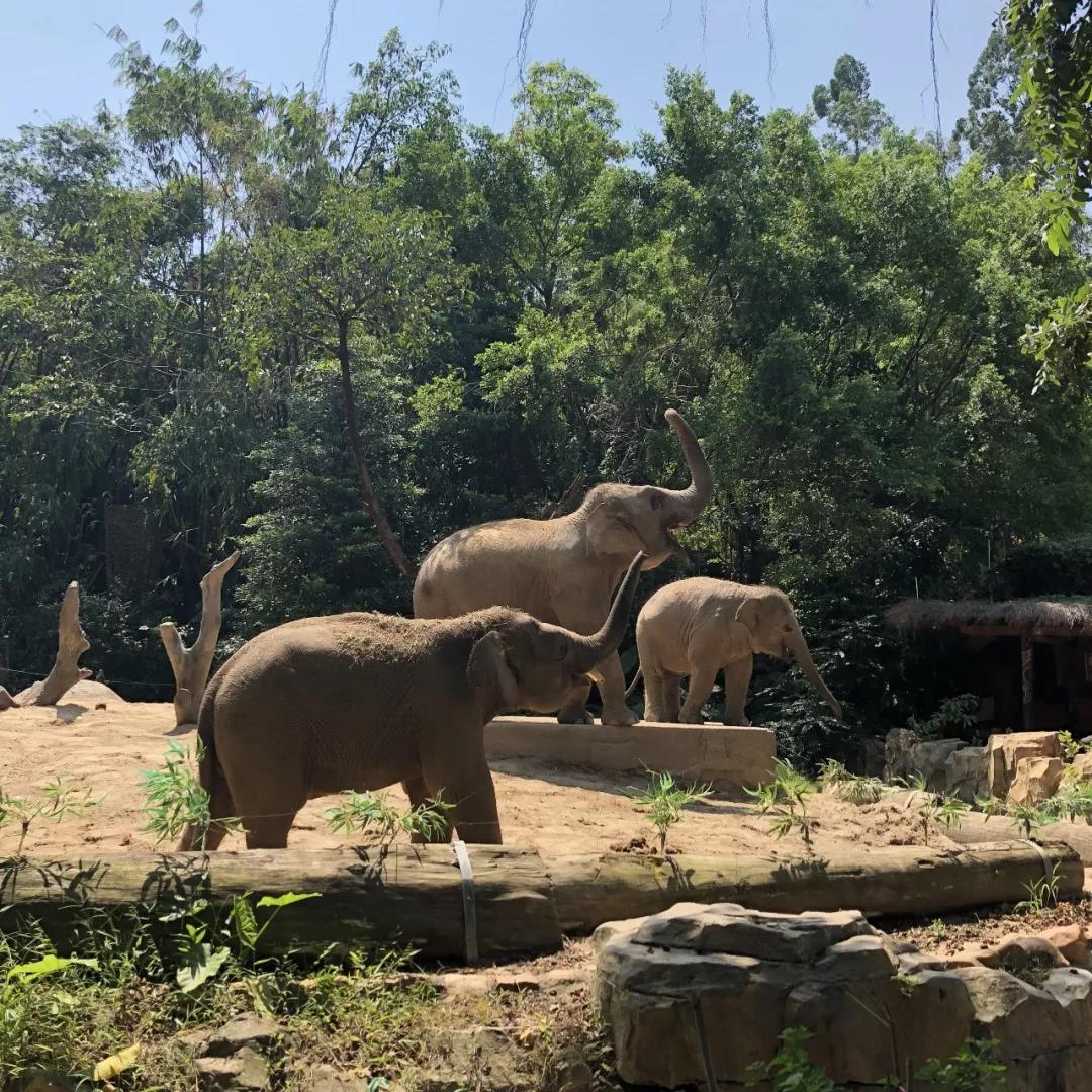 「穗港深」国庆节七日南下计划