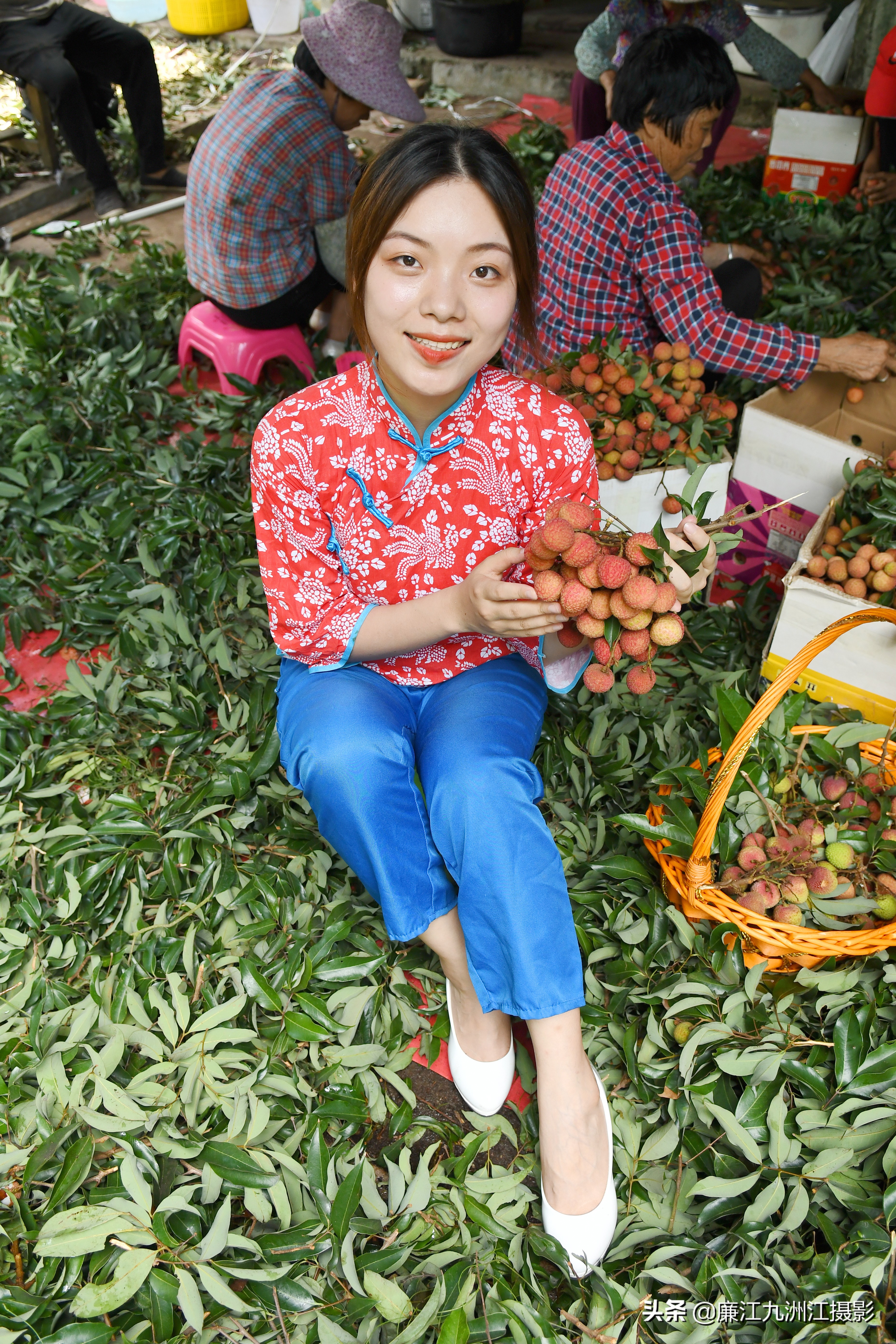 湛江市廉江荔枝节开幕式视频,廉江荔枝文化节