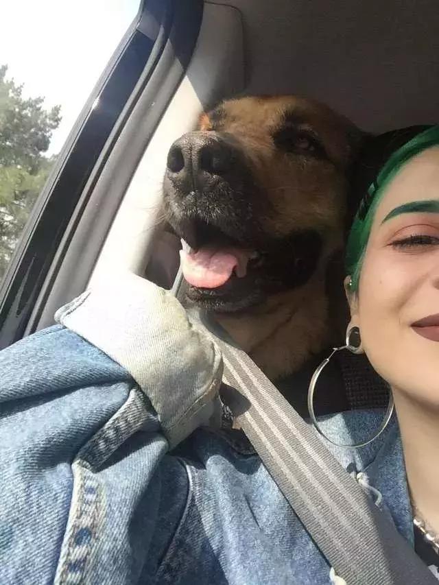 谷歌街景拍到动物,盘点谷歌街景被打上马赛克的地方