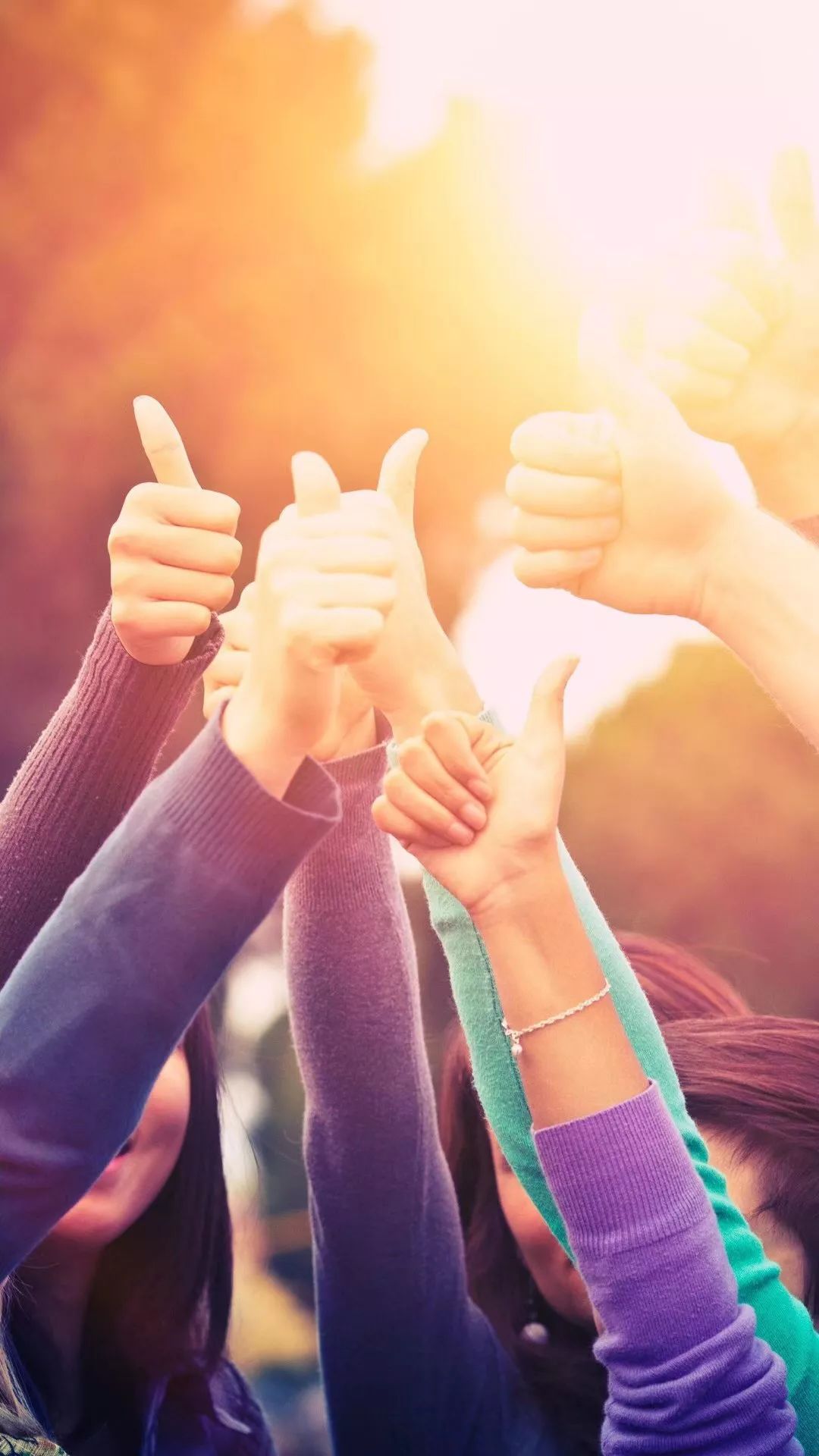 值得收藏酒世界排行榜前十名,世界最好的酒排名前十名品牌