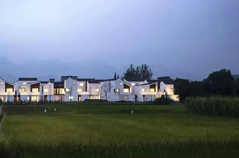 全国最美乡村振兴项目,中国最美的乡村振兴项目