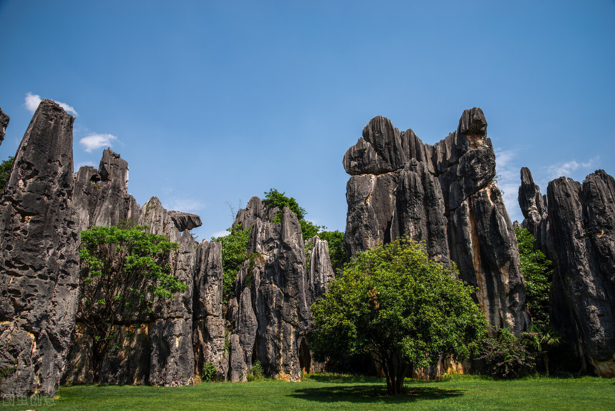 云南有哪些旅游景点分别在哪个市,云南西双版纳旅游景点攻略自由行