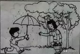 一二年级必考看图写话训练及范文,二年级看图写话写作技巧及练习