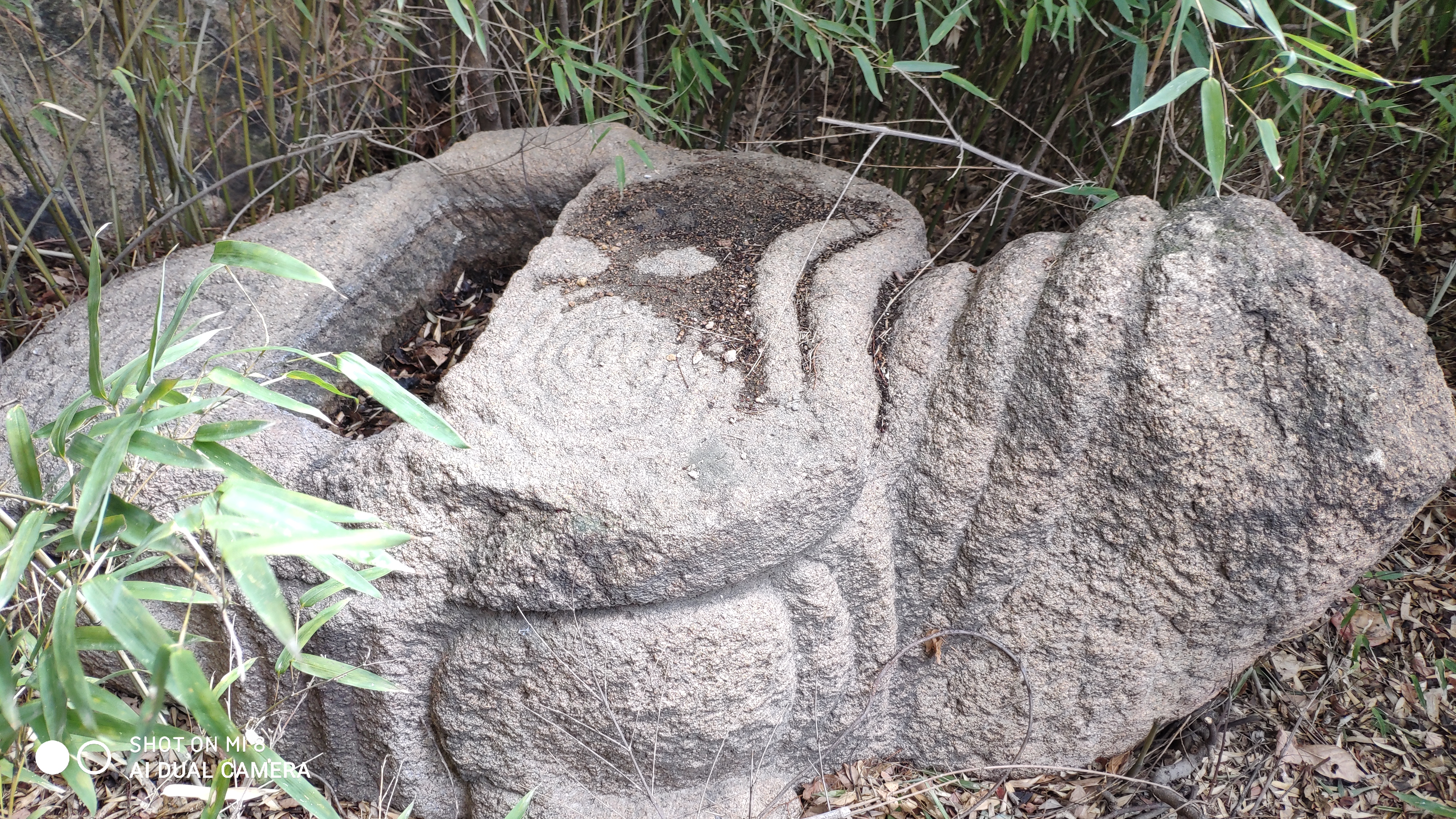 崂山水畔菜蔬鲜，黄石洞中书韵长