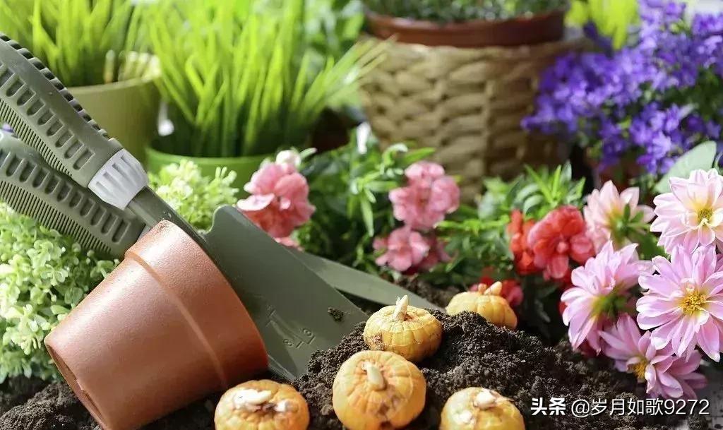 回农村小本创业,适合农村小本创业项目小型加工厂