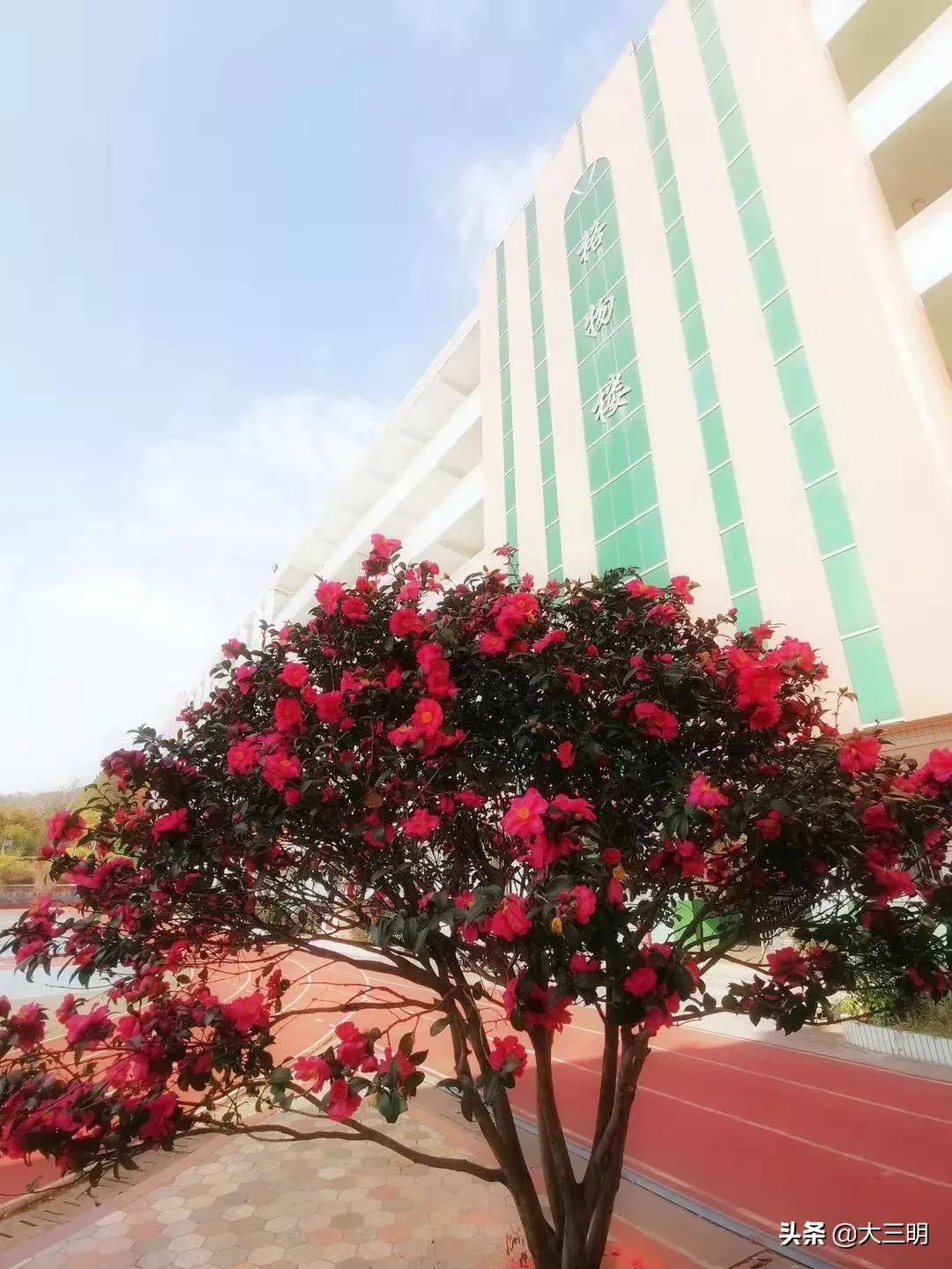 十二时辰之美叫法,十二时辰十二美