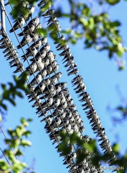每日一笑二十四期,每日一笑深度解读