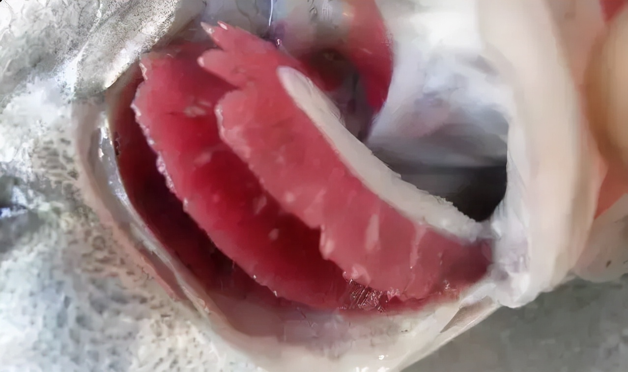 压箱底绝招，盐巴在水产上有大用