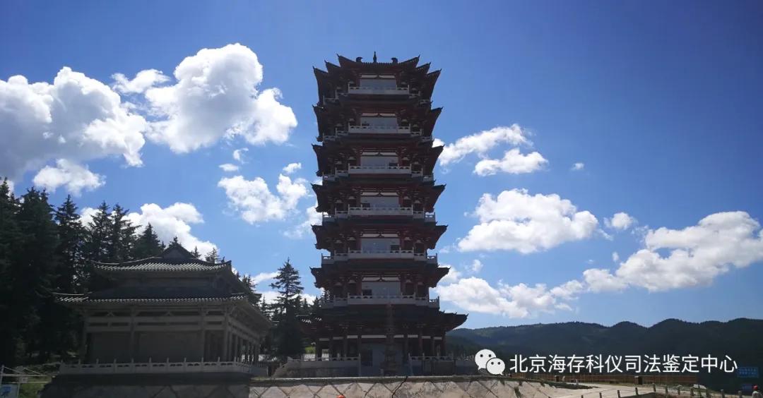 如果遇到套路贷款该怎么处理,遇到套路贷被威胁