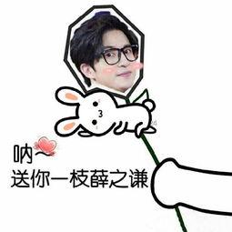 偌大的城市，我们都是骆驼