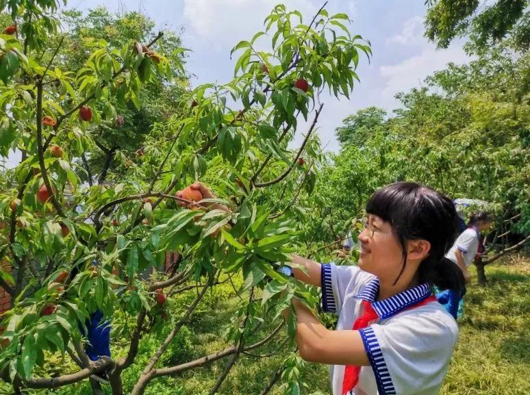 揭秘丨会玩，更会学！位于城北的这所七系学校，你了解多少？