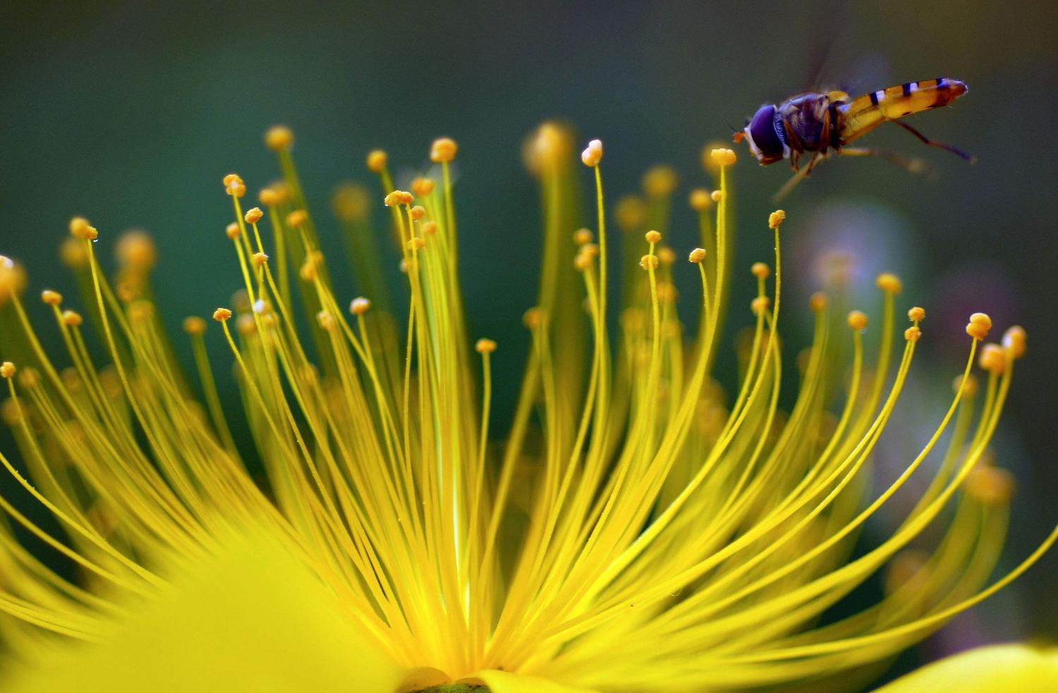 光荣30s放大20倍拍照评测,光荣30s测评大米