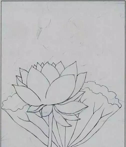 画荷塘与荷花,画一张美丽的荷塘画