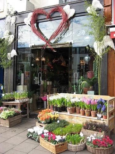 开花店赚钱攻略,零基础一站式教你开花店