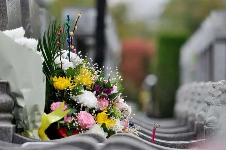 什么花适合扫墓献花,清明节扫墓送什么花比较合适