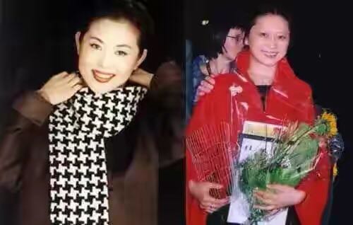 倪大红结婚了吗,倪大红结婚电视剧