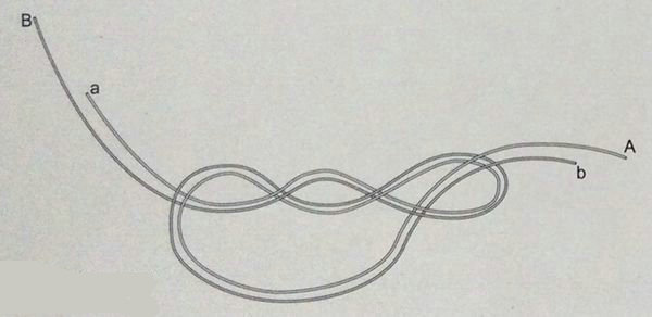 海钓pe各种线结打法,pe线海钓线结绑法