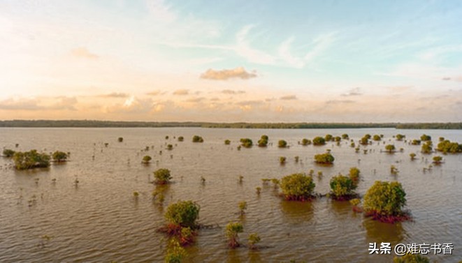 值得反复去读的世界历史,九分钟读懂世界历史