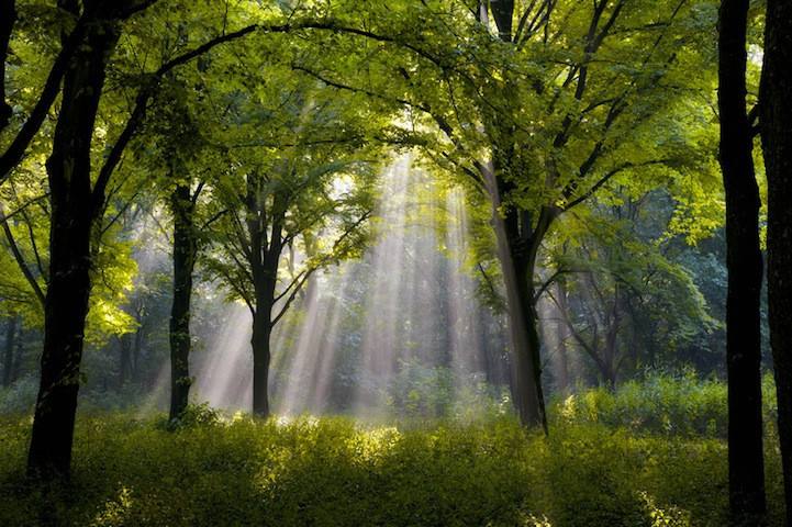 江西省南昌市首批22所足球特点示范幼儿园名单，足球从娃娃抓起