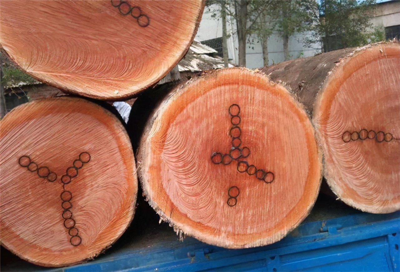 常见木材的种类简介及图片,常见木材的种类档次