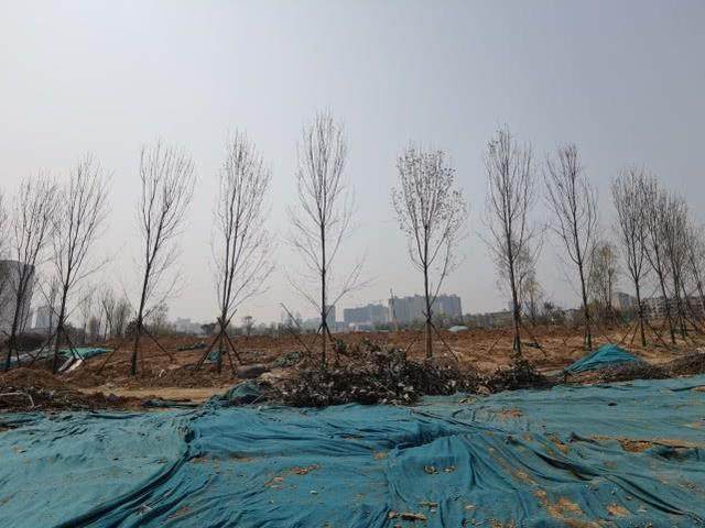 郑州市青少年公园什么时候开始建,郑州青少年公园介绍