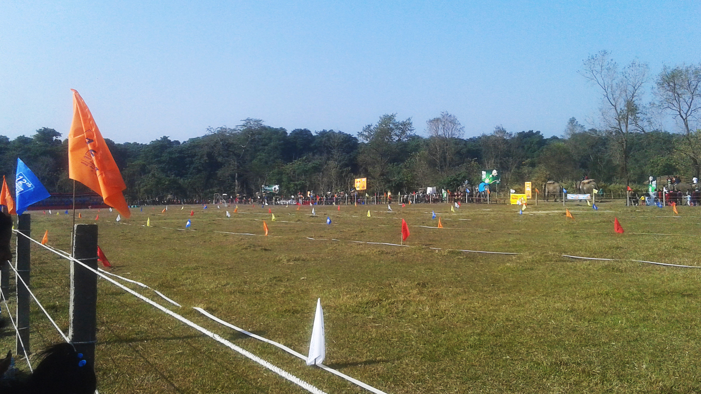 世界杯大象足球,大象足球比赛