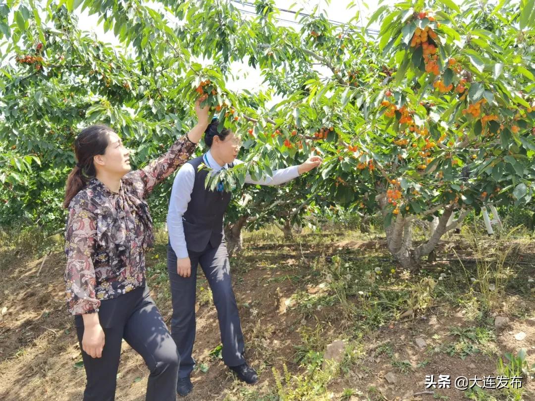 大连小南村夜市,大连小南村七彩城