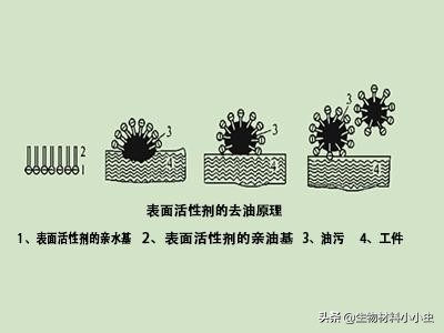 液氮做料理,分子料理液氮花朵