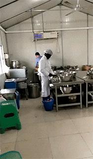 老虎：这是我准备养大吃的，你来凑什么热闹