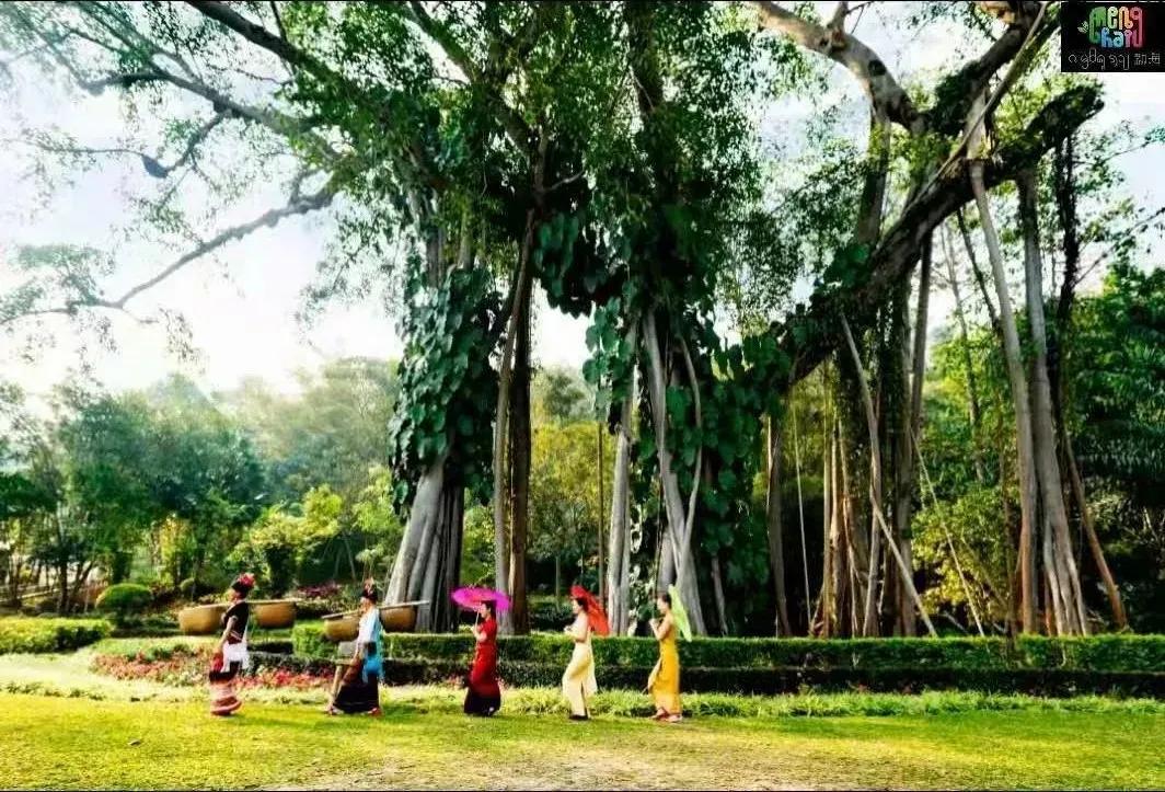 云南西双版纳勐海茶区,西双版纳勐海茶文化