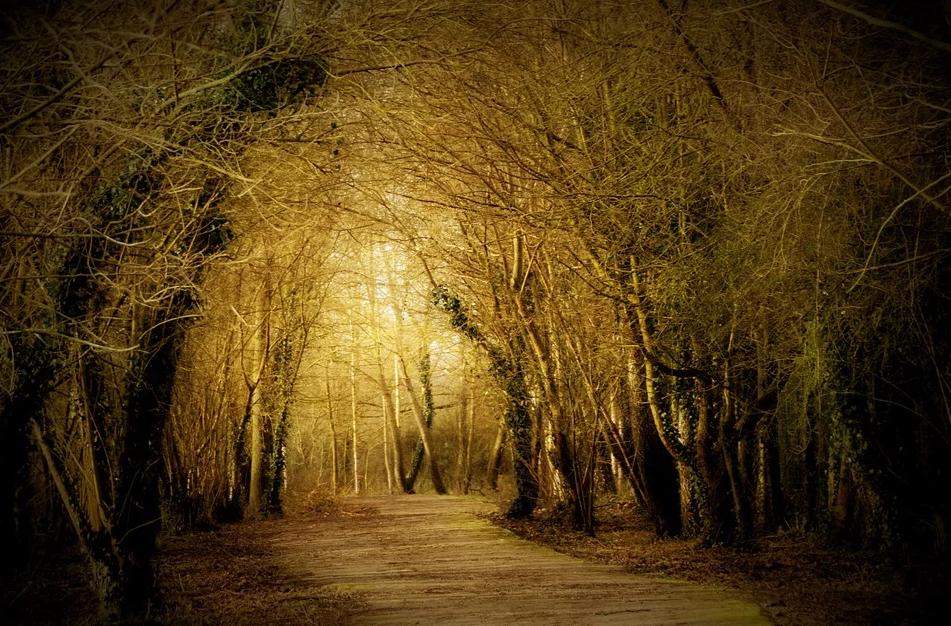 酒品看人品还是牌品看人品,酒品决定人品但人品有问题的人