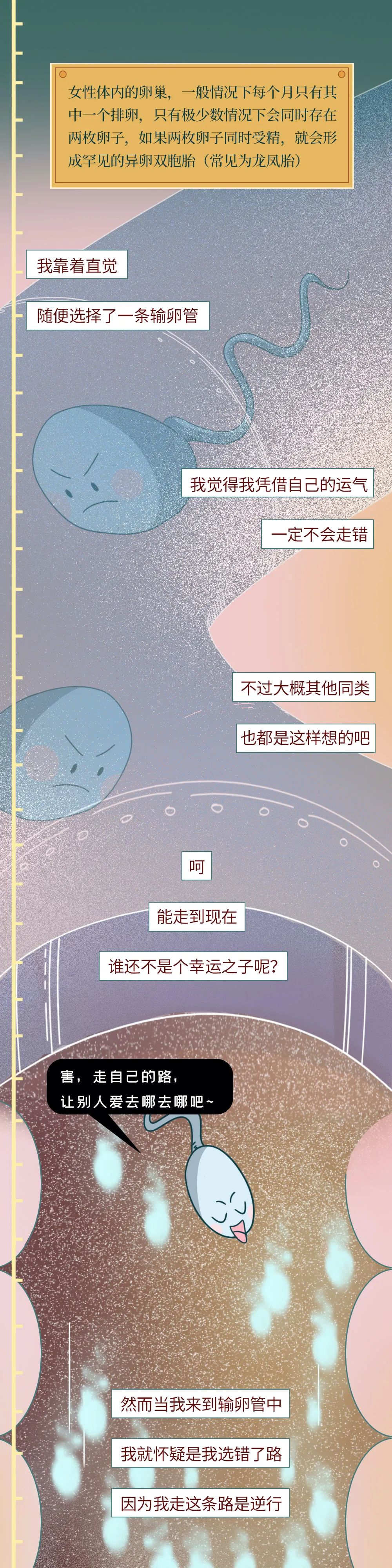 男性精子在体内存活时间,精子在体内的存活率几天