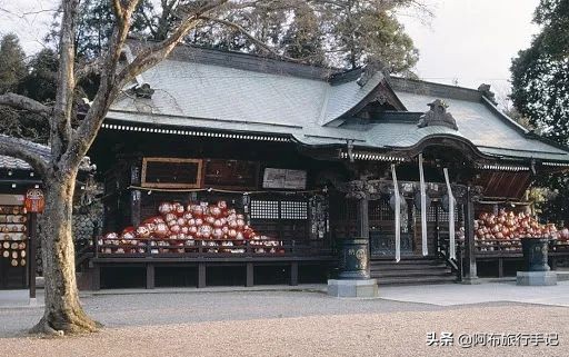又到群马，这次不谈秋名山和巴西小镇，谈个日元“新先生”