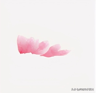 写意牡丹画法教程，零基础入门画法教给孩子，这样画简单又好看