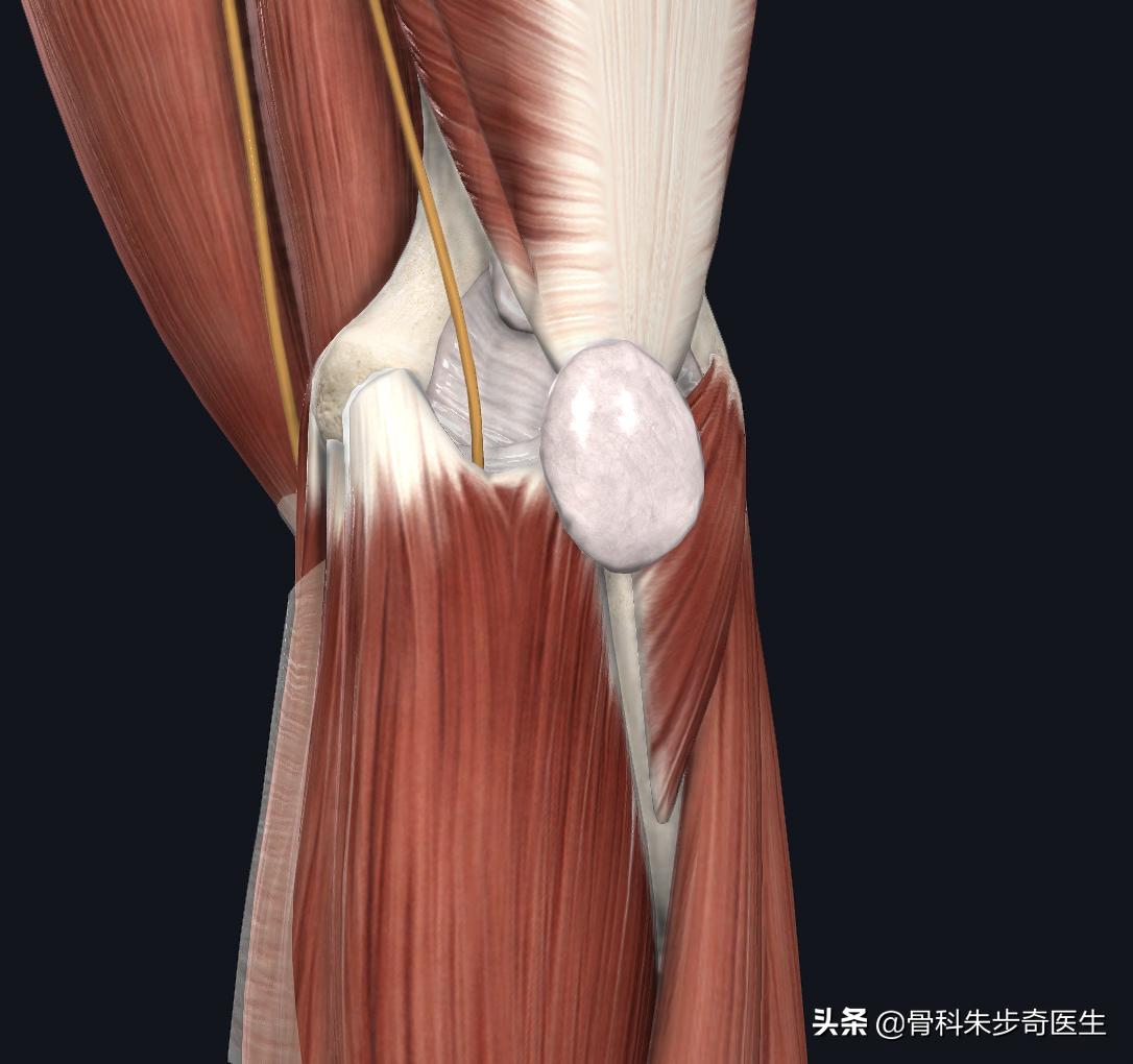 今天胳膊疼吃啥药,为什么胳膊有一阵一阵的痛