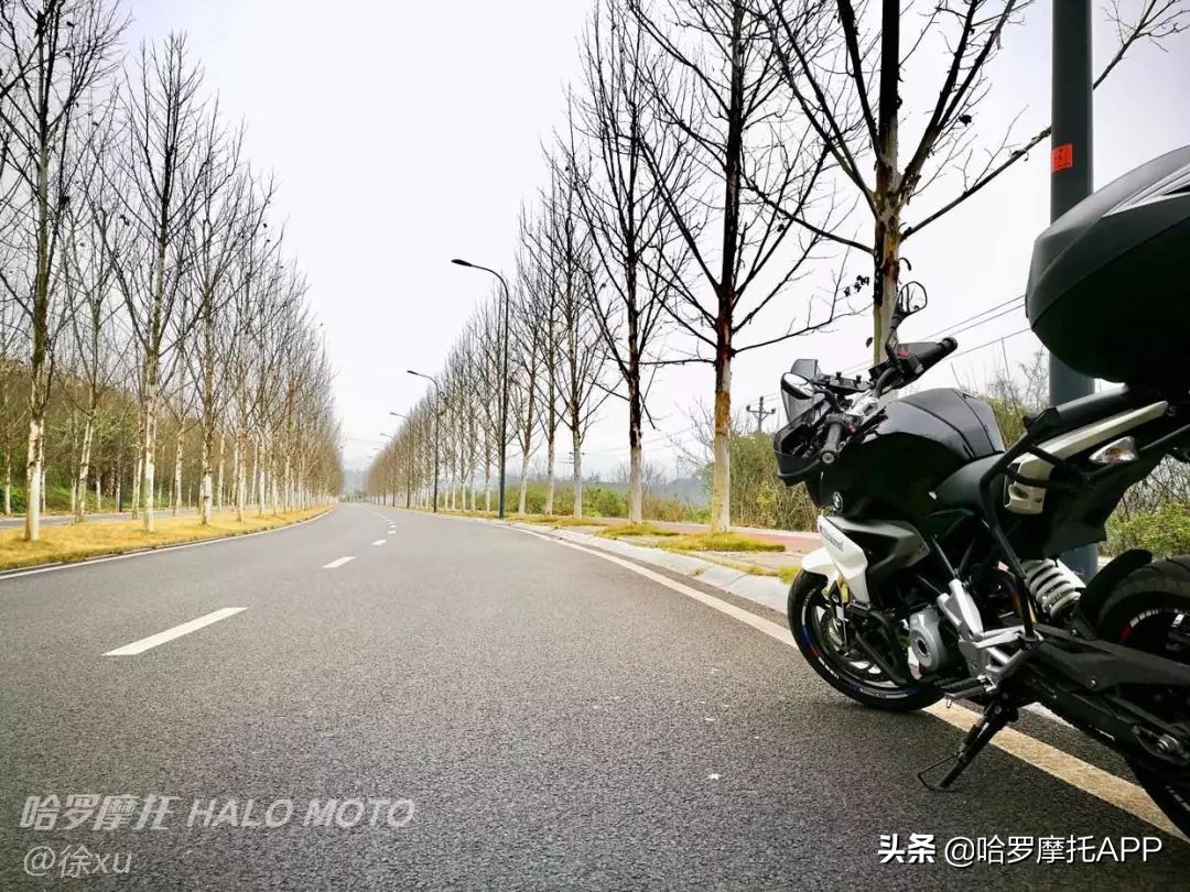 宝马g310r和g310gs的区别,宝马g310rr跟宝马g310gs的区别