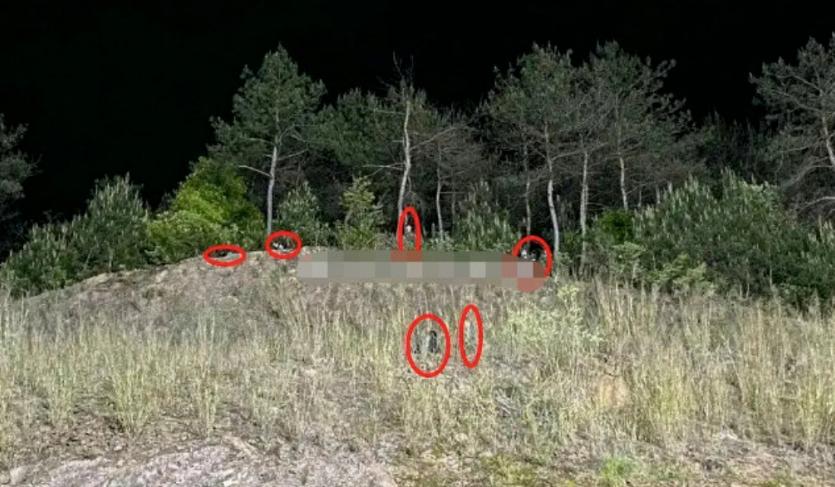 杨幂被偷包的影视剧,杨幂被偷拍的照片